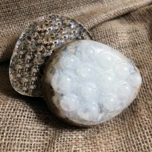 Shapin'Nature Coffee & Milk  Glycerin Soap